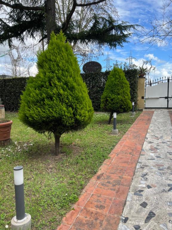 a small pine tree next to a brick walkway at Affittacamere D’annunzio in San Piero a Grado