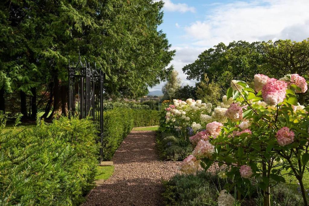 un jardín con flores rosas y una puerta negra en Lane Cottage, en Coldstream