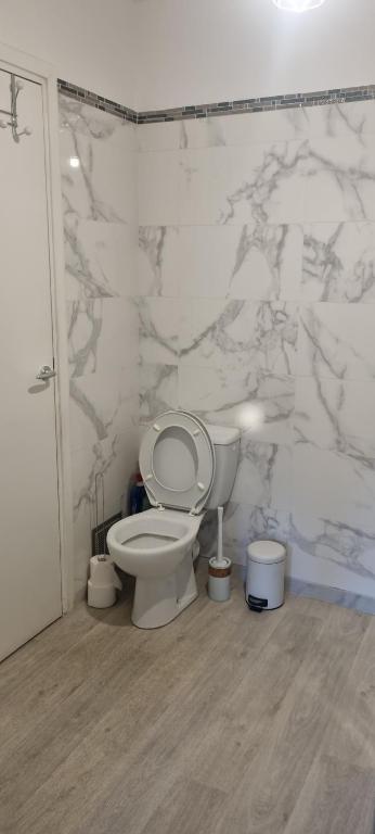 ein Bad mit einem WC und einer Marmorwand in der Unterkunft Appartement Ajaccio in Ajaccio