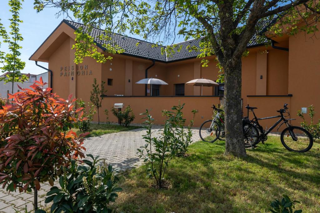 Jízda na kole v ubytování Pension Pannonia nebo okolí