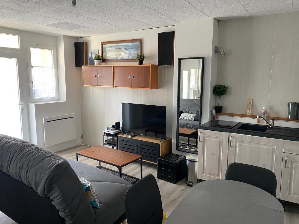 un salon avec un canapé et une télévision dans l'établissement Appartement 4 personnes Nanterre (La Defense-Mont Valérien), à Nanterre