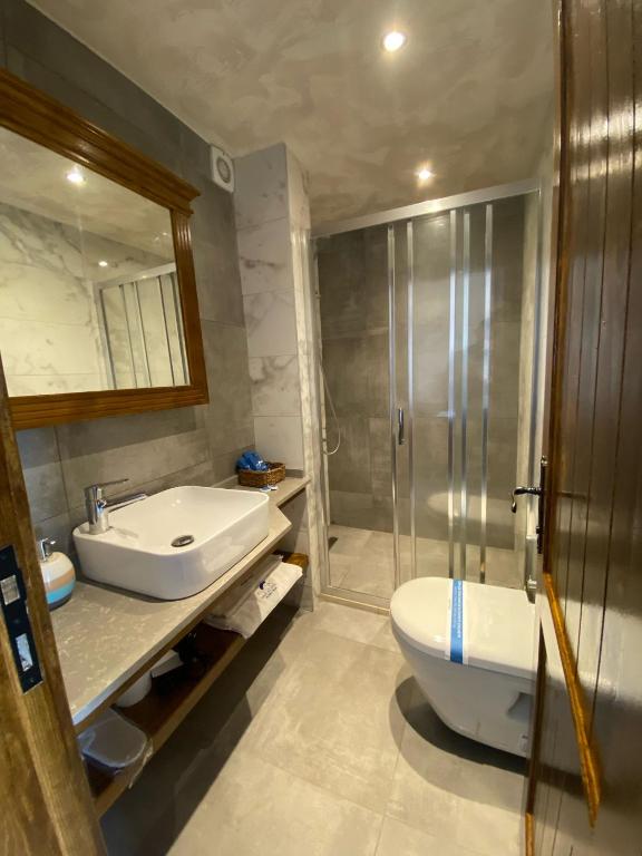 a bathroom with a sink and a shower and a toilet at MAVİ AT HOTEL Blue Horse in Gümüşdere