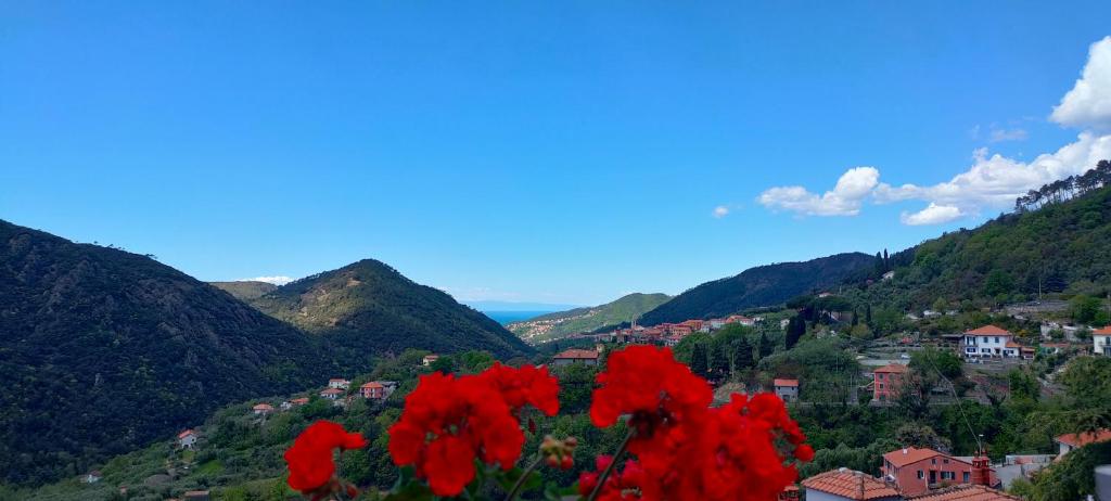 un gruppo di fiori rossi in una valle con montagne di Camera tra le Cinque Terre, Camogli e Portofino. Vista valle e scorcio mare all'orizzonte a Castiglione Chiavarese