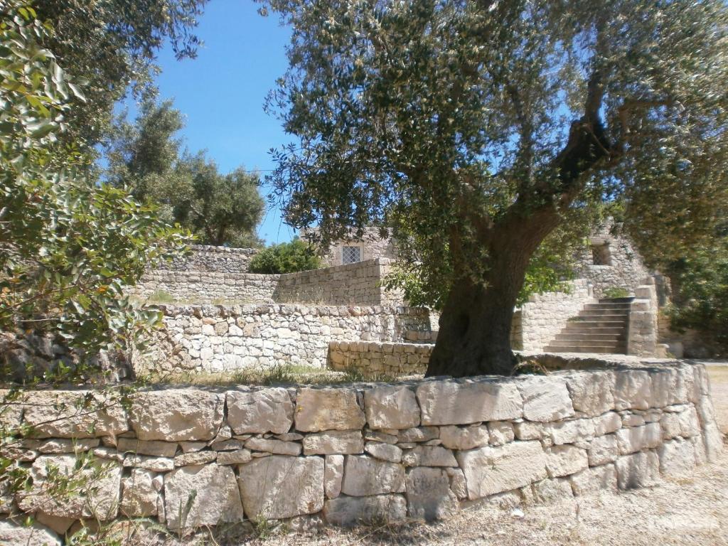 Zdjęcie z galerii obiektu Trullo Villa Giuliana con giardino Posizione panoramica Free wifi w mieście Ostuni