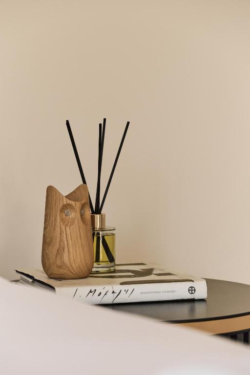 VISION OMONIA, ATHENS - Resim 19