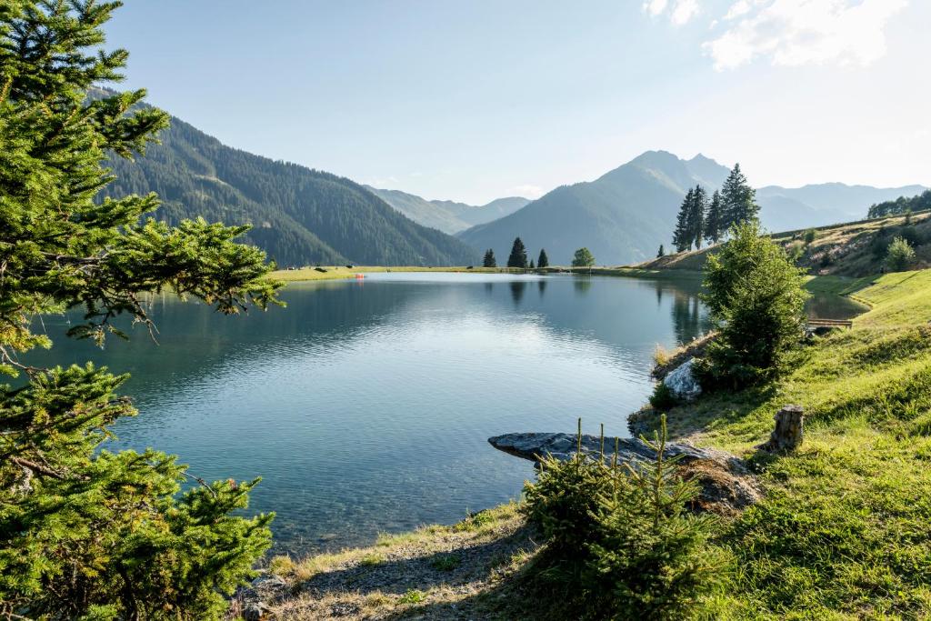 Príroda v okolí apartmánu