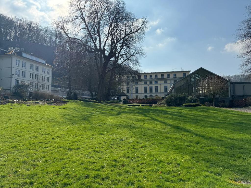 a large grassy field in front of a building at Castel de Pont-a-Lesse in Dinant