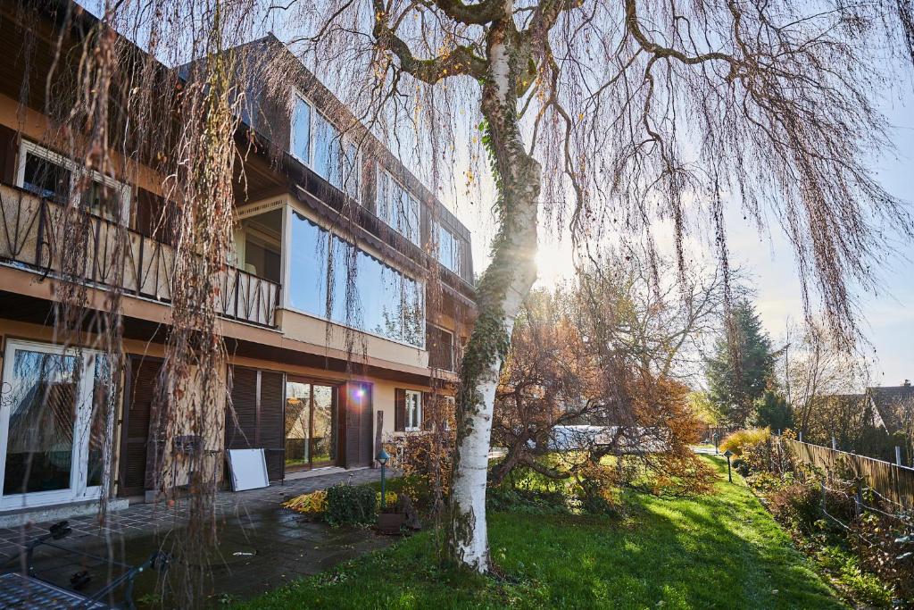 ein Gebäude mit einem Baum davor in der Unterkunft ZeitweiseHaus in Weingarten