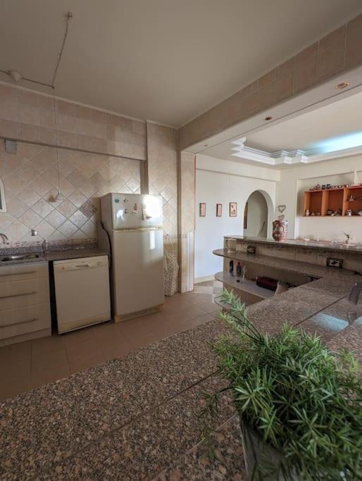 Kuchyň nebo kuchyňský kout v ubytování Aswan Nile view Family apartment