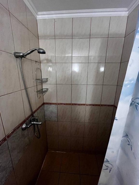 Apartments in villa Viktoria - 13