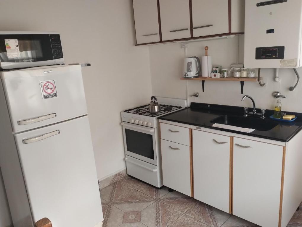eine kleine Küche mit einem weißen Kühlschrank und einer Spüle in der Unterkunft DonAldo in Ushuaia