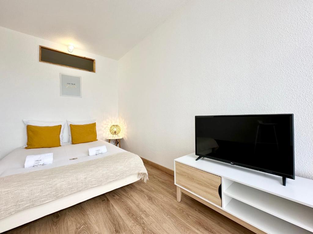 1 dormitorio con TV de pantalla plana y 1 cama en LE BRASILIA - Terrasse & Parking, en Mont-de-Marsan