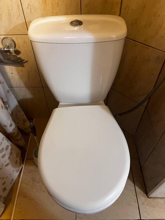 Apartments in villa Viktoria - 16