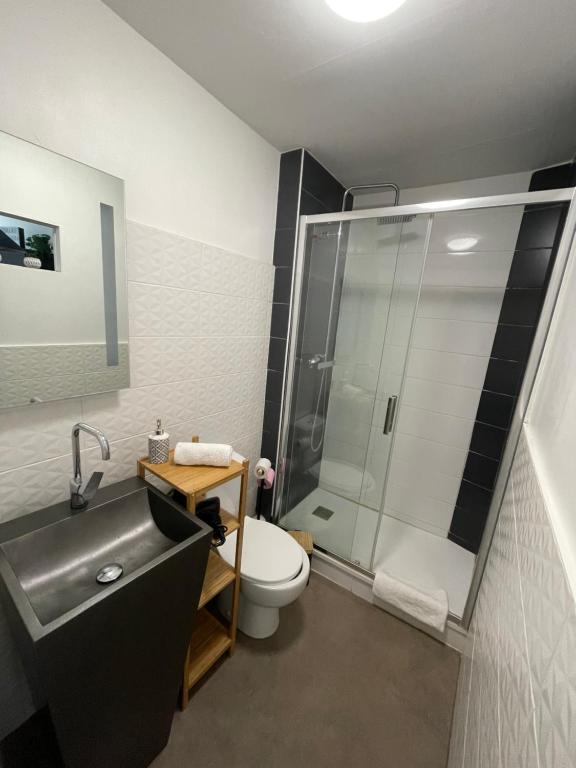 une salle de bain avec une douche, des toilettes et un lavabo dans l'établissement La Grande Madeleine, à Nantes