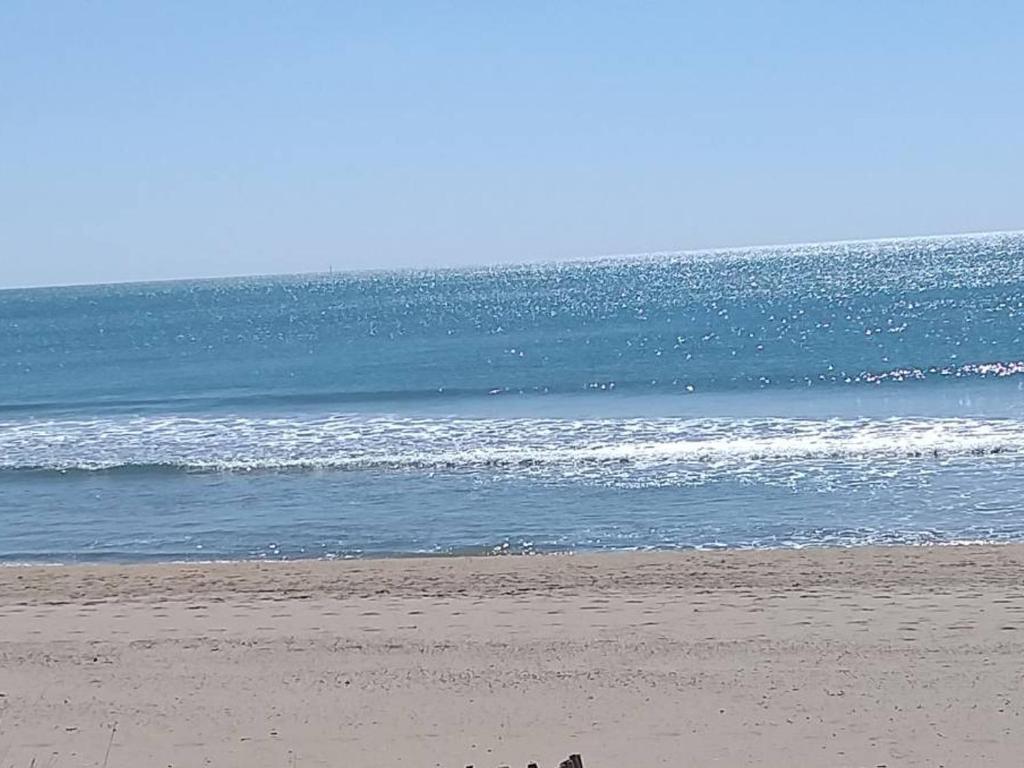 un groupe de personnes marchant sur la plage dans l'établissement Appartement 2 pièces avec accès direct plage, terrasse et parking - FR-1-387-146, au Cap d'Agde