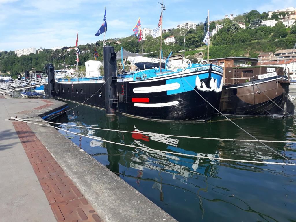 un bateau amarré à un quai arborant des drapeaux dans l'établissement peniche l oiseau bleu, à Lyon