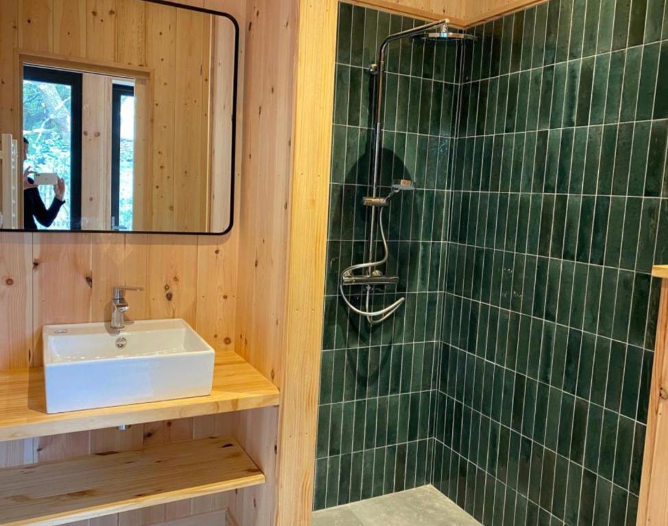 Vonios kambarys apgyvendinimo &#x12F;staigoje Villa en bois au Piquey - R&eacute;f 305