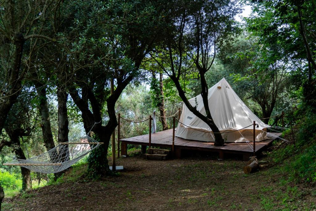 a tent and a hammock in the woods at Habitat Eco Farm in Sorrento