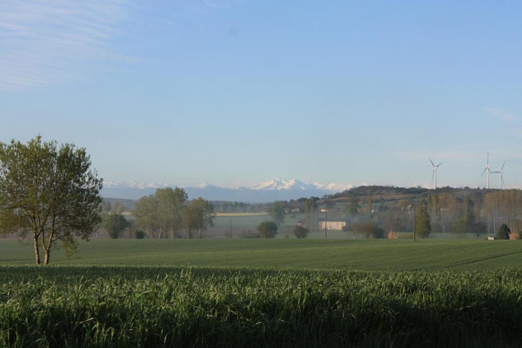 Příroda nedaleko bed and breakfast