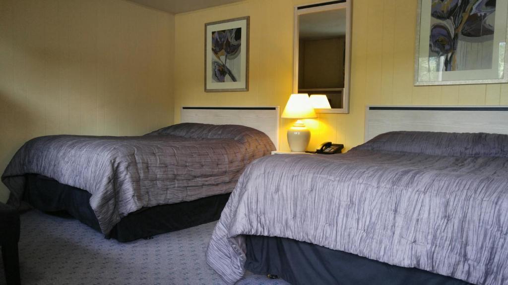 una camera d'albergo con due letti e una lampada di Macaluso's at the Lantern Lodge a Jim Thorpe