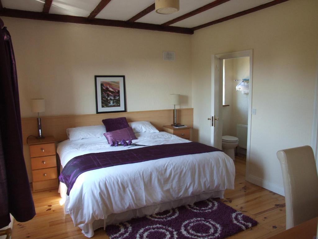 a bedroom with a large bed with a purple blanket at Corcoran's Lodge in Ferns