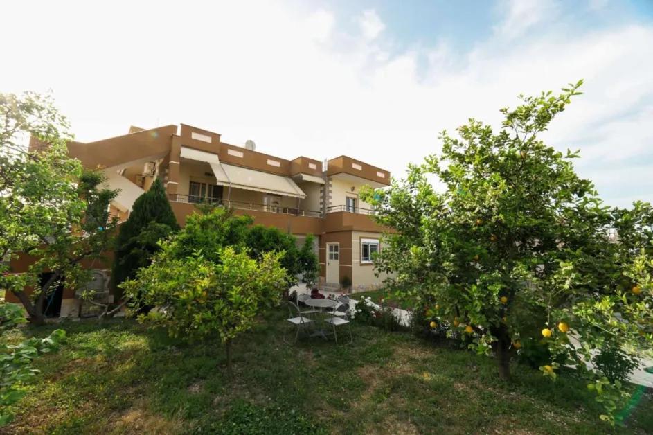 Zahrada ubytování Vila Agolli