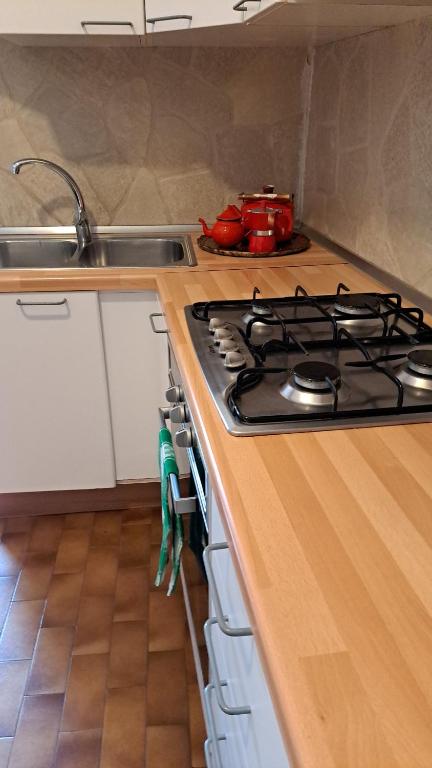 Kuchyň nebo kuchyňský kout v ubytování Al NIDO DELLE RONDINI