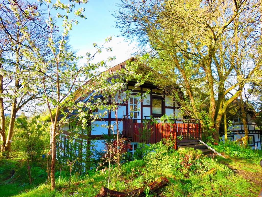 a house on a hill with trees in front of it at Natururlaub Frankenau in Frankenau