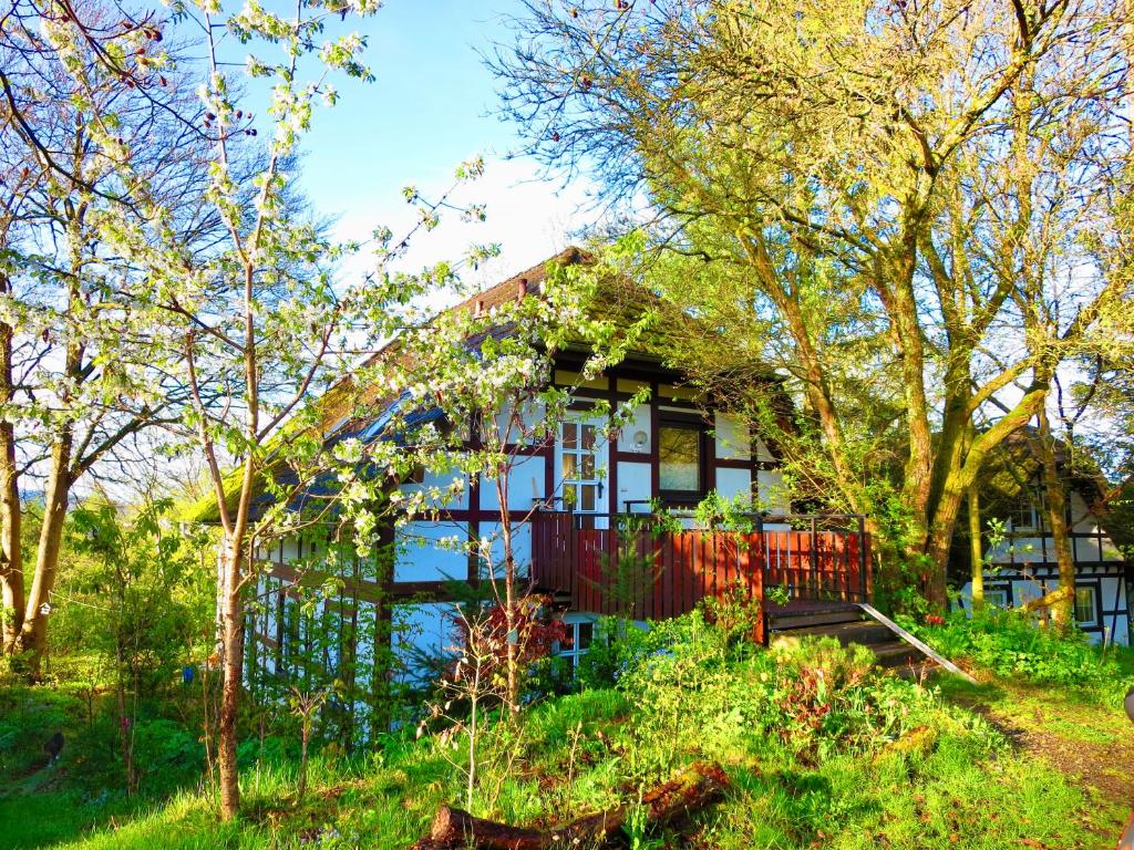 ein Haus auf einem Hügel mit Bäumen davor in der Unterkunft Natururlaub Frankenau in Frankenau