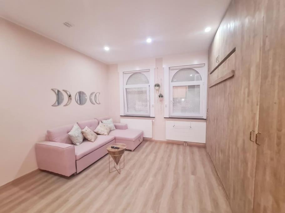 - un salon avec un canapé rose et 2 fenêtres dans l'établissement Magnolia Pink Studio New and fully equipped, à Bruxelles