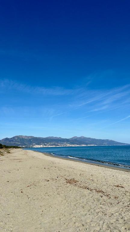 une plage avec l'océan et les montagnes en arrière-plan dans l'établissement Maison en bord de mer, Plage de la Marana en Corse, à Borgo