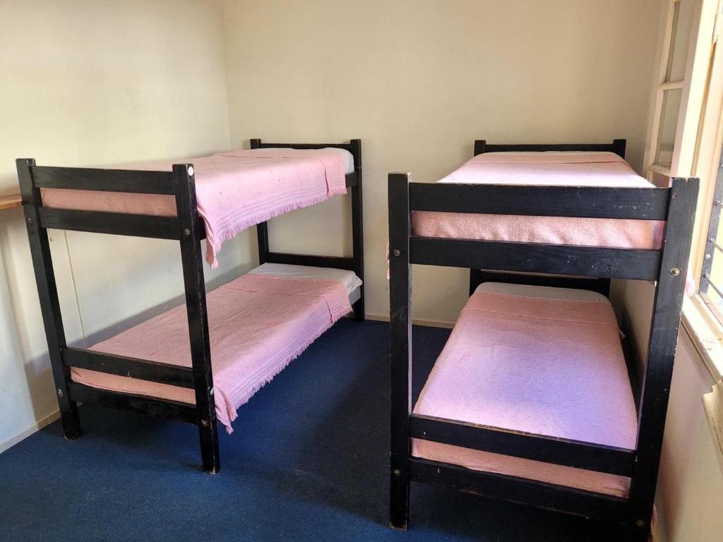 two bunk beds in a room with pink sheets at Hotel Canciller in Mar del Plata