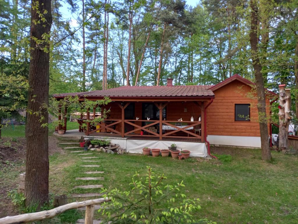 une petite cabine au milieu d'une forêt dans l'établissement Chata Očovan, à Zvolen
