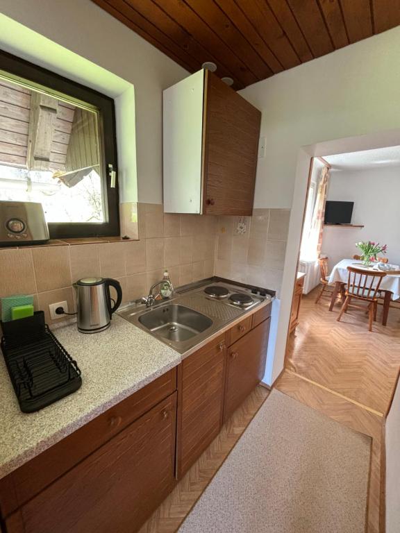 Kuchyň nebo kuchyňský kout v ubytování Apartments Škantar