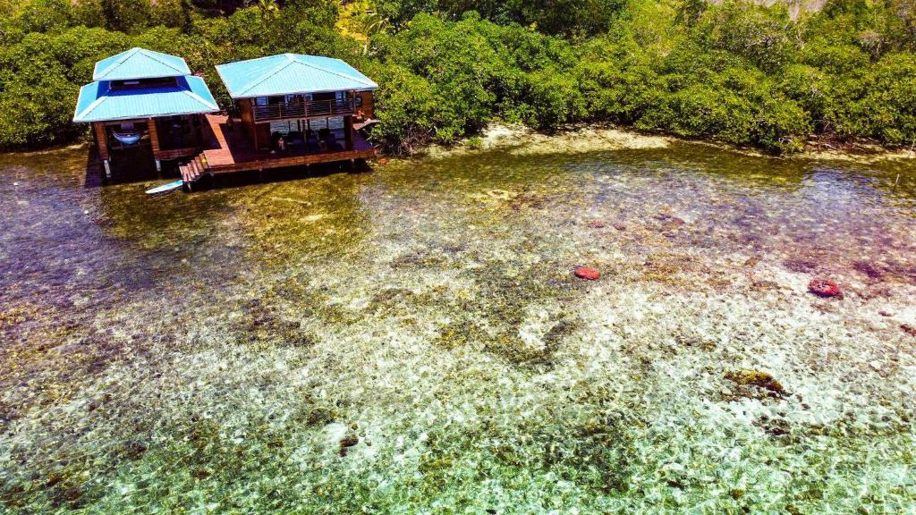 ボカス・タウンにあるBahia Coral Lodgeの家のある池の空中