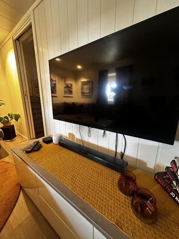 TV a/nebo společenská místnost v ubytování KB Basement Apartment