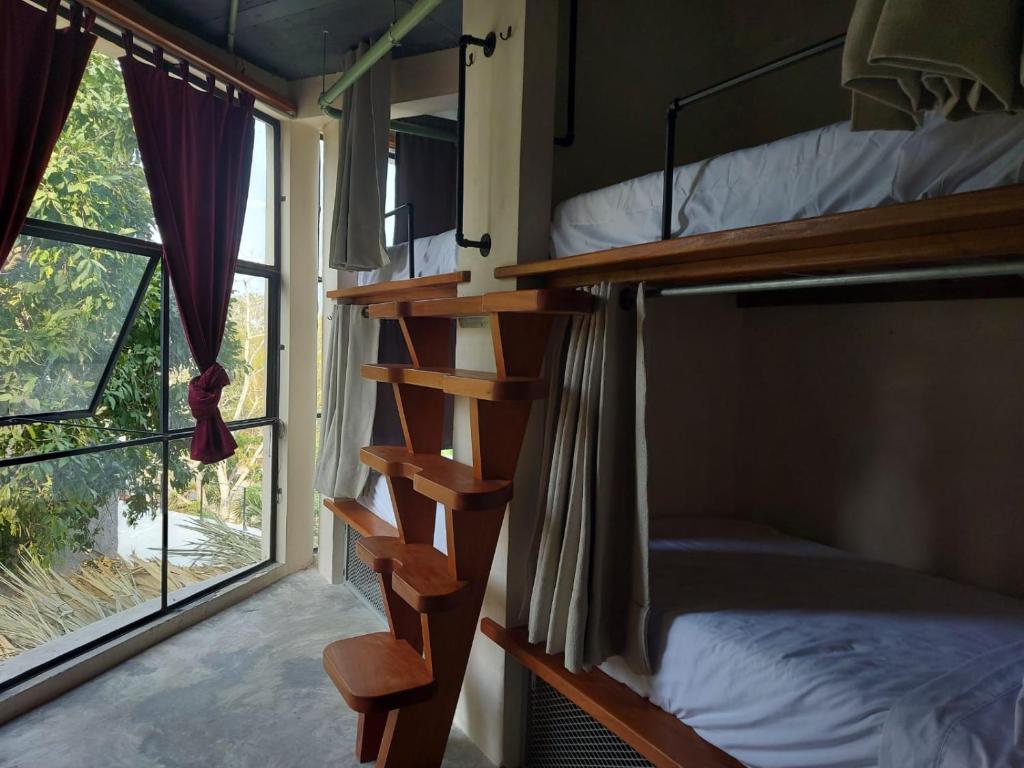 a dorm room with bunk beds and a window at Elmar hostal in Bacalar