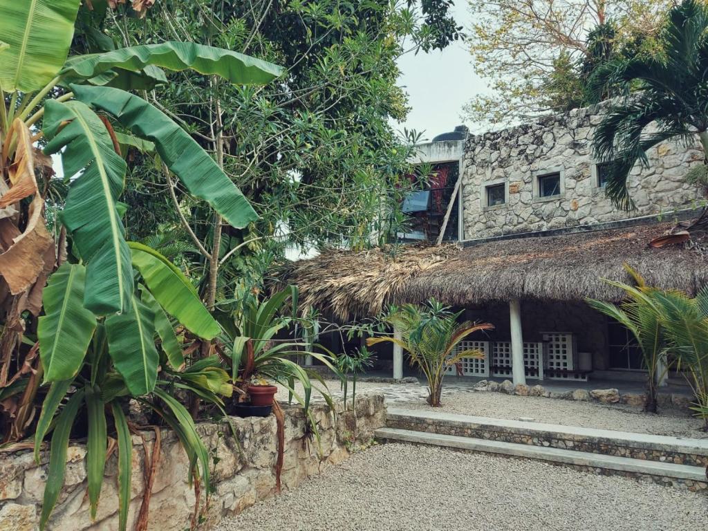 a building with a thatch roof and some plants at Elmar hostal in Bacalar