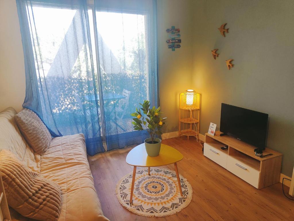 un salon avec un canapé et une télévision dans l'établissement Très joli studio point zéro, clim, à La Grande Motte