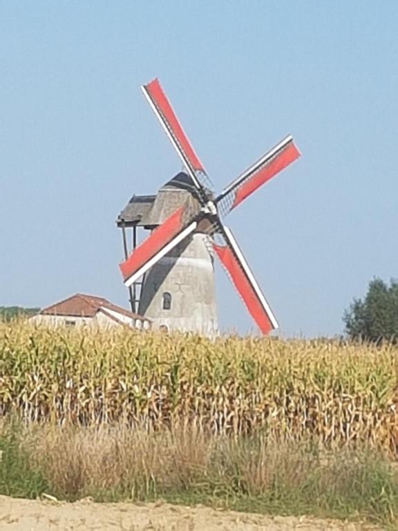 Fotografie z fotogalerie ubytování B&B Krieken de Jour v destinaci Ninove
