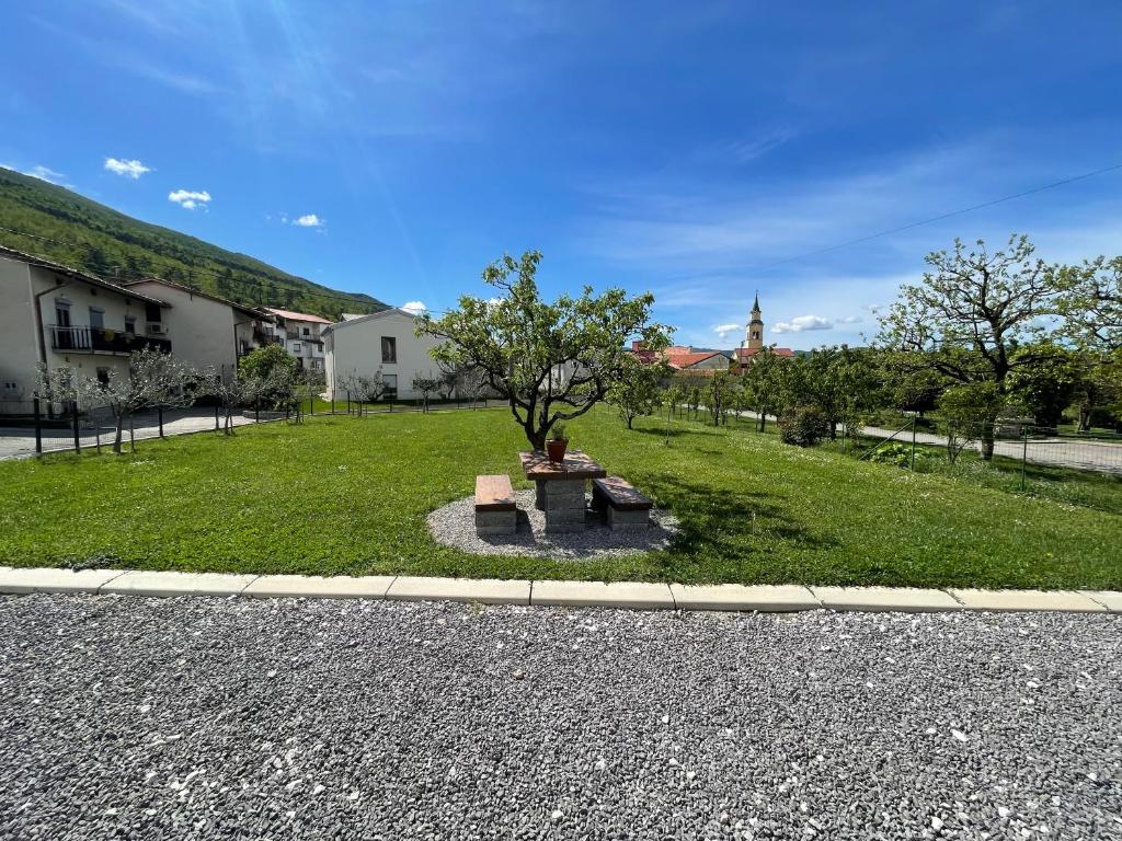 a park with a tree in the middle of a field at Kmetija Tomažič vinska klet - winery in Vipava