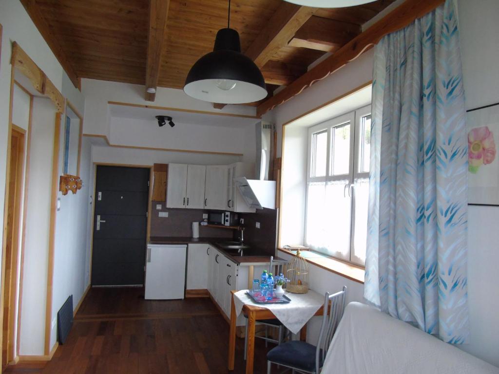 Kuchyň nebo kuchyňský kout v ubytování Villa-Bajka