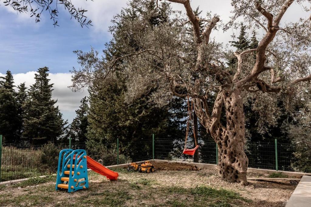 a playground with a tree and a swing at Olive Grove in Bar