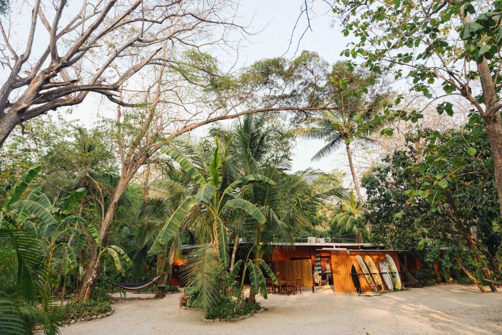 a building in the middle of a forest of trees at Zeneidas Surf Garden in Santa Teresa Beach