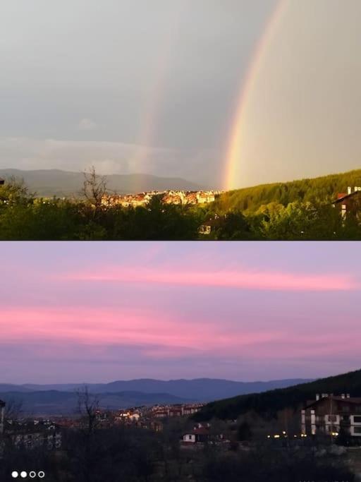 Příroda nedaleko apartmánu