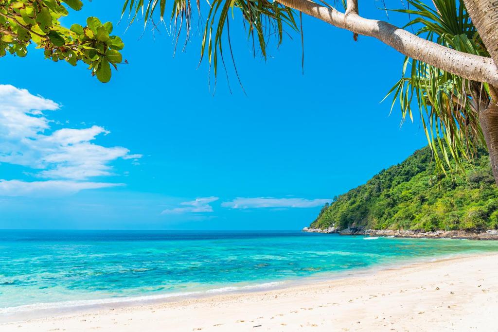 een strand in de Filippijnen met palmbomen en de oceaan bij PALMS SEAVIEW LUXURY HOMESTAY - SEBULENI - Nyali Mombasa in Mombasa