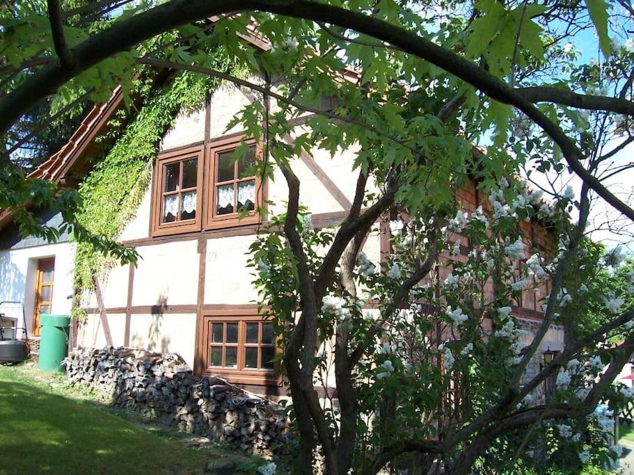 ein Haus mit einem Baum davor in der Unterkunft Ferienhaus Harz in Allrode