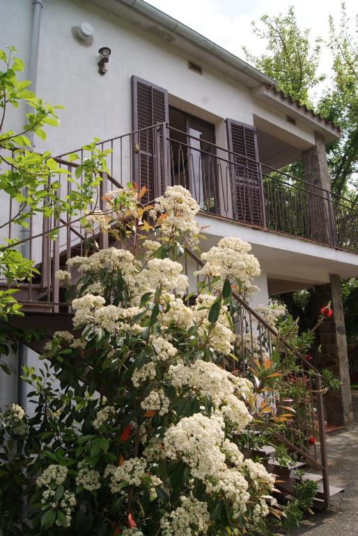 バニョラスにあるApartamento con encanto l'Estany 2の白花の茂み