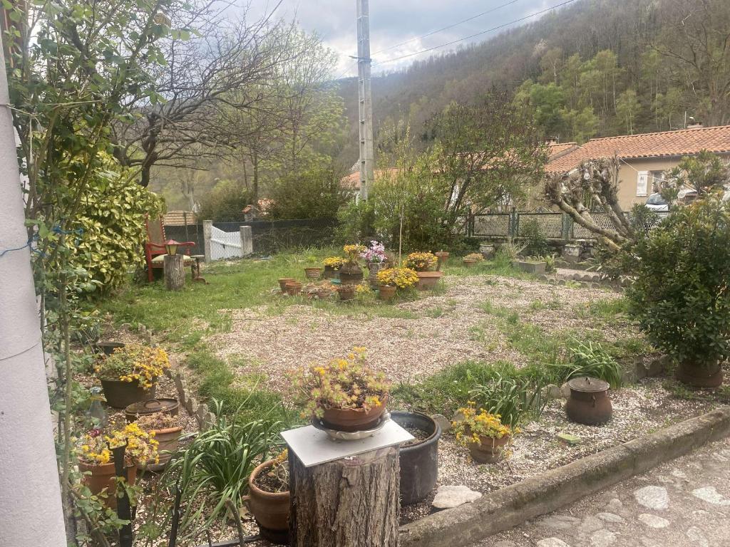 un jardin avec des plantes en pot dans une cour dans l'établissement Appartement Prats-de-Mollo-la-Preste, 3 pièces, 6 personnes - FR-1-659-60, à Prats-de-Mollo-la-Preste