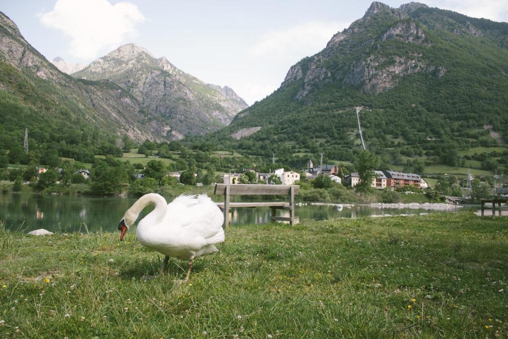 Táj az apartman közelében